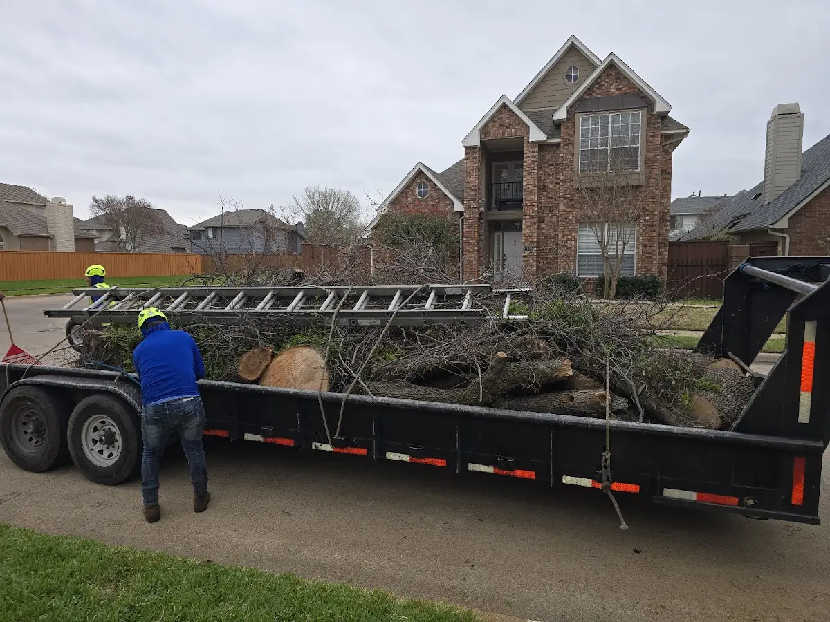 Expert Tree Pest Control with proper safety equipment in Central Valley